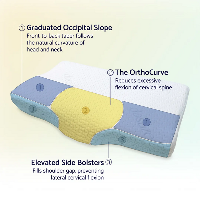 Dosaze contoured pillow ergonomic support zones illustration