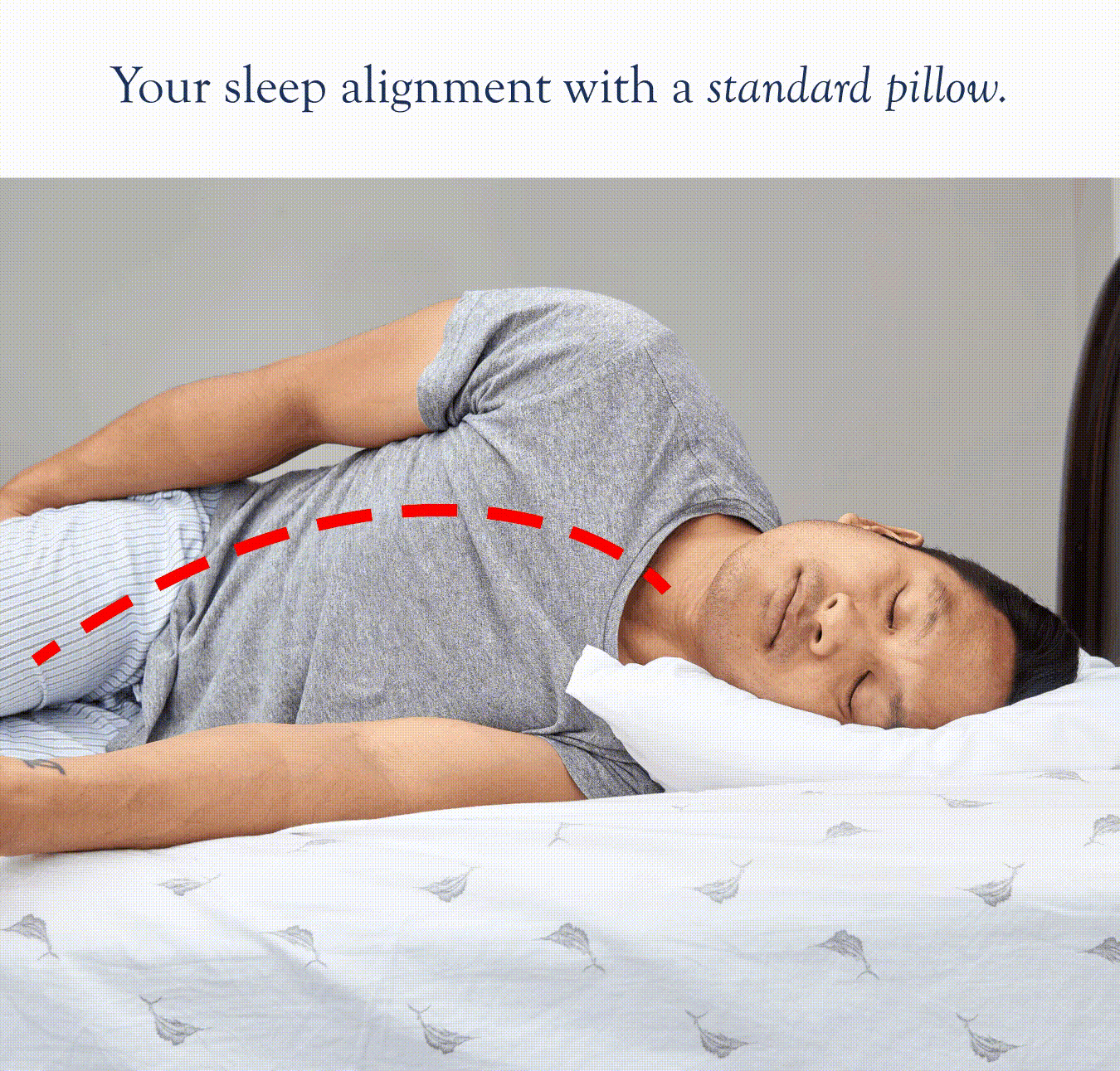 Back sleeper using Dosaze contoured orthopedic pillow